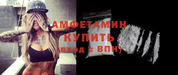 дмт Краснослободск