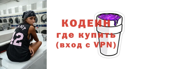 дмт Краснослободск